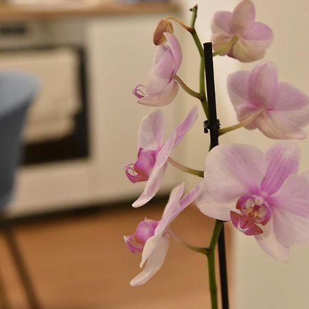 Ηλιόλουστο Appartement Athene Buitenkant foto